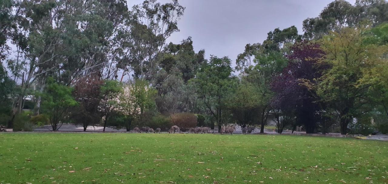 A-Line Holiday Park Bendigo Extérieur photo